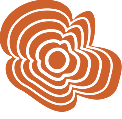 Einsite